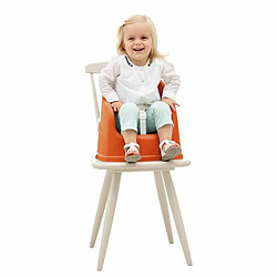 Avis Chaise haute ThermoBaby Enfant Orange 36 x 38 x 36 cm Terre cuite