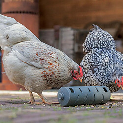 Greenlife Distributeur roulant à friandises en plastique recyclé pour poules.