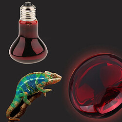 Reptile Tortoise Amphibie Nightlight Lumière infrarouge UVA E27 Lampe chauffante 40W