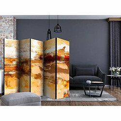 Paris Prix Paravent 5 Volets Desert Storm 172x225cm