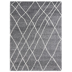 Hadorn Tapis shaggy 395x300 Gris foncé Lachen Fence