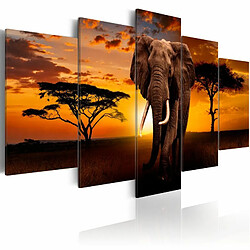 Paris Prix Tableau Imprimé The Savannah King 100 x 200 cm 