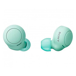 Casque Sony WFC500G 