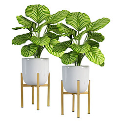 Présentoir à fleurs 18-25x18-25x30 cm Or en métal ML-Design ML-Design 2x Support pour Fleurs Or, 18-25x18-25x30 cm, Pots Fleurs Surélevé, Moderne, Métal Résistant aux Intempéries, Robuste, Taille Réglable, Porte-Fleurs Déco, Étagère Plantes Intérieur/Extérieur