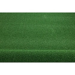 Acheter RUGSX GAZON SYNTHÉTIQUE ORYZON Golf - gotowe tailley 200x600 cm