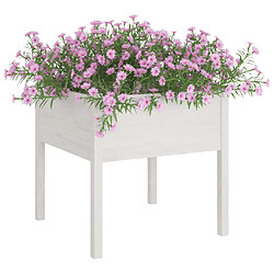 Avis Maison Chic Jardinière,Bac à fleurs - pot de fleur d'extérieur blanc 70x70x70 cm bois de pin massif -GKD68955