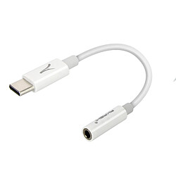 Adaptateur USB-C / jack 3.5 mm Akashi