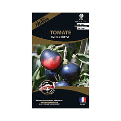 Sanrival Graines potagères premium tomate Indigo rose