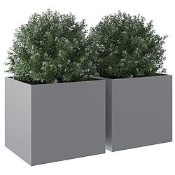 Avis vidaXL Jardinières 2 pcs argenté 49x47x46 cm acier galvanisé