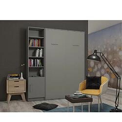 Inside 75 Composition armoire lit escamotable SMART-V2 gris mat Couchage 140 x 200 cm