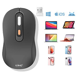 LinQ Souris Sans Fil Bluetooth ou WiFi 2.4Ghz Précision et Confort Noir pas cher