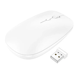 Souris optique sans fil Blanche 2,4G DPI 1600 Little Boutik® 