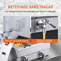 Friteuse Électrique Commerciale Friteuse à Huile 2 Cuves Acier Inox 12L 6000 W - Pour Restaurants Supermarchés Fast-foods Snack-bars pas cher