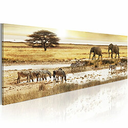 Paris Prix Tableau Imprimé Africa : at the Waterhole 45 x 135 cm 