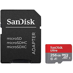 Carte mémoire micro SDXC SanDisk Ultra 256Go A1 95Mo/s Class 10 Micro SD SDXC