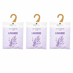 Lot de 3 Cintres Parfumés Accro 14cm Lavande 