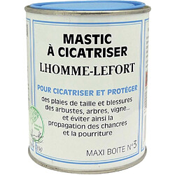 Lhomme-Lefort Mastic à cicatriser des plais de tailles 500 g. Mastic à cicatriser des plais de tailles 500 g