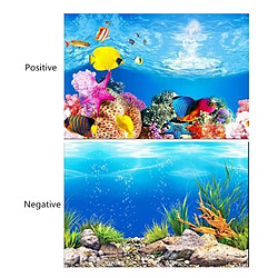 Avis Affiche De Fond D'aquarium De PVC D'océan Paysage De Décoration De Réservoir De Poissons 60x102cm