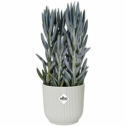 Acheter Pot Elgato Blanc Ø 30 cm Plastique Rond Moderne