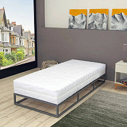 Maison Chic Matelas de Chambre, Matelas doux 100 x 200 cm 7 zones Ressort ensaché 20 cm H2 -GKD61123