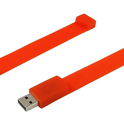 Wewoo Clé USB rouge Disque Flash USB 2.0 Bracelets Silicon 2 Go pas cher