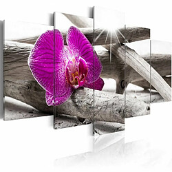 Paris Prix Tableau Imprimé Orchid on Beach 50 x 100 cm 