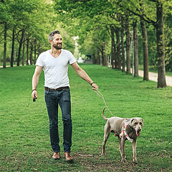 Equipement de transport pour chien