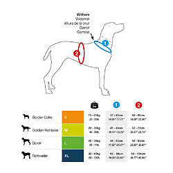 Equipement de transport pour chien