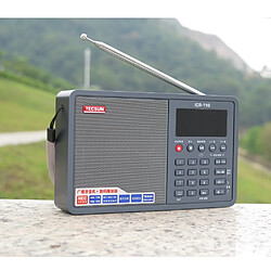 Acheter Universal Desheng ICR 110 Radio FM/AM Lecteur MP3 Vidéoscope Audio Numérique Portable Semiconductor Sound Box Support TF Card Livraison Gratuite(Gris)