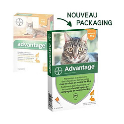 ADVANTAGE 40 - 6 pipettes antiparasitaires - Pour chat et lapin de moins de 4kg 