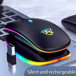 Universal USB Wireless Mouse 1600DPI USB Optical Computer souris 2,4 GHz MICE ERGONOMIQUE POUR LA SON SON PC APLAISS