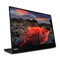 Avis Écran Lenovo ThinkVision M14t 14"