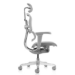 Avis Chaise de bureau / fauteuil de direction ERGOHUMAN ULTRA G GEN2 tissu résille gris hjh OFFICE