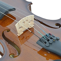 Avis Forenza Prima F2151C Ensemble Violon Taille 3/4 Marron