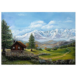 Universal Puzzle avion 300 pièces Puzzle adulte paysage planétaire (51x34cm) (D)