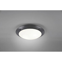 Plafonnier Camaro Moderne à 2 Lumières Anthracite IP54 