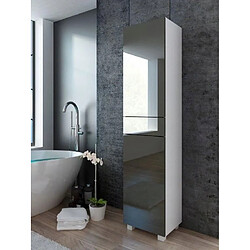 Dusine Colonne Pureza 40 cm Gris Laqué/BM salle de bain suspendue ou posée