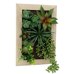 Sil Cadre mural avec plante succulente artificielle 20 x 30 cm. Cadre mural avec plante succulente artificielle 20 x 30 cm