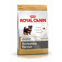 Royal Canin Race Yorkshire Terrier Junior