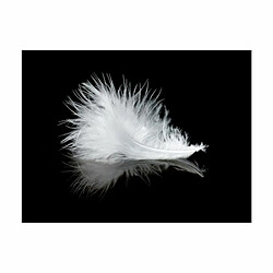 Paris Prix Papier Peint White Feather 154 x 200 cm