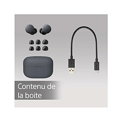 Oreillette Bluetooth Sony WF-L900 Noir