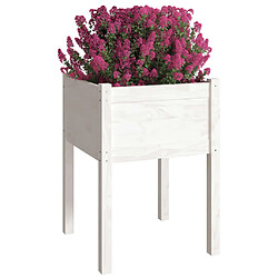 Avis Maison Chic Jardinière,Bac à fleurs - pot de fleur Blanc 50x50x70 cm Bois de pin massif -GKD12582