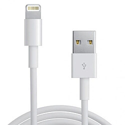 Chargeur cable Synchro USB pour iPhone 5 / 5S / 5C, iPhone 6 / 6S /6+ et iPhone 7 / 7+ iPad Air / Mini blanc