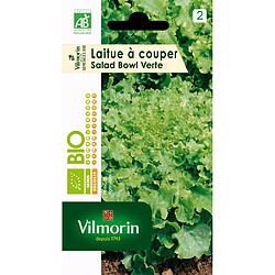 Graines Laitue À Couper Salad Bowl Verte VILMORIN Bio