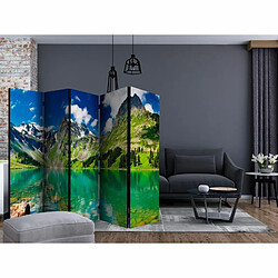 Paris Prix Paravent 5 Volets Mountain Lake 172x225cm