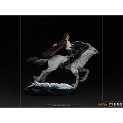 Avis Iron Studios Harry Potter - Statue de luxe Harry et Buckbeak 1/10