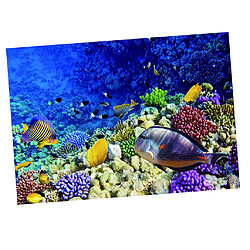 Acheter aquarium fond affiche aquarium décor de papier peint décor mer monde 61x41cm