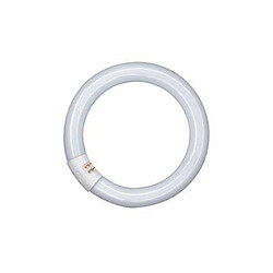 tube fluorescent circulaire - osram lumilux t9 c - 32 watts - g10q - 4000k