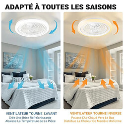 FIMEI Ventilateur de plafond NACATIN Fan Silencieux 6 Vitesses Eclairage Dimmable 3 Couleurs 49cm WF60506