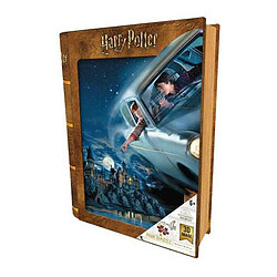 Puzzle 3D Harry Potter & Ron Harry Potter (300 pcs)